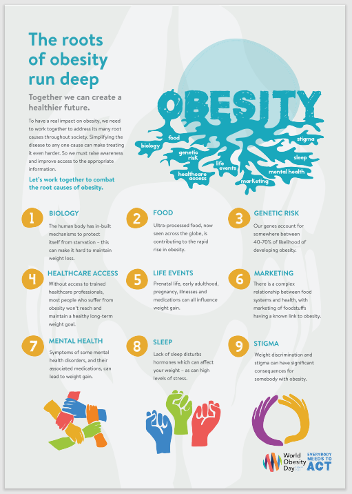 Fiches d'information sur l'obésité